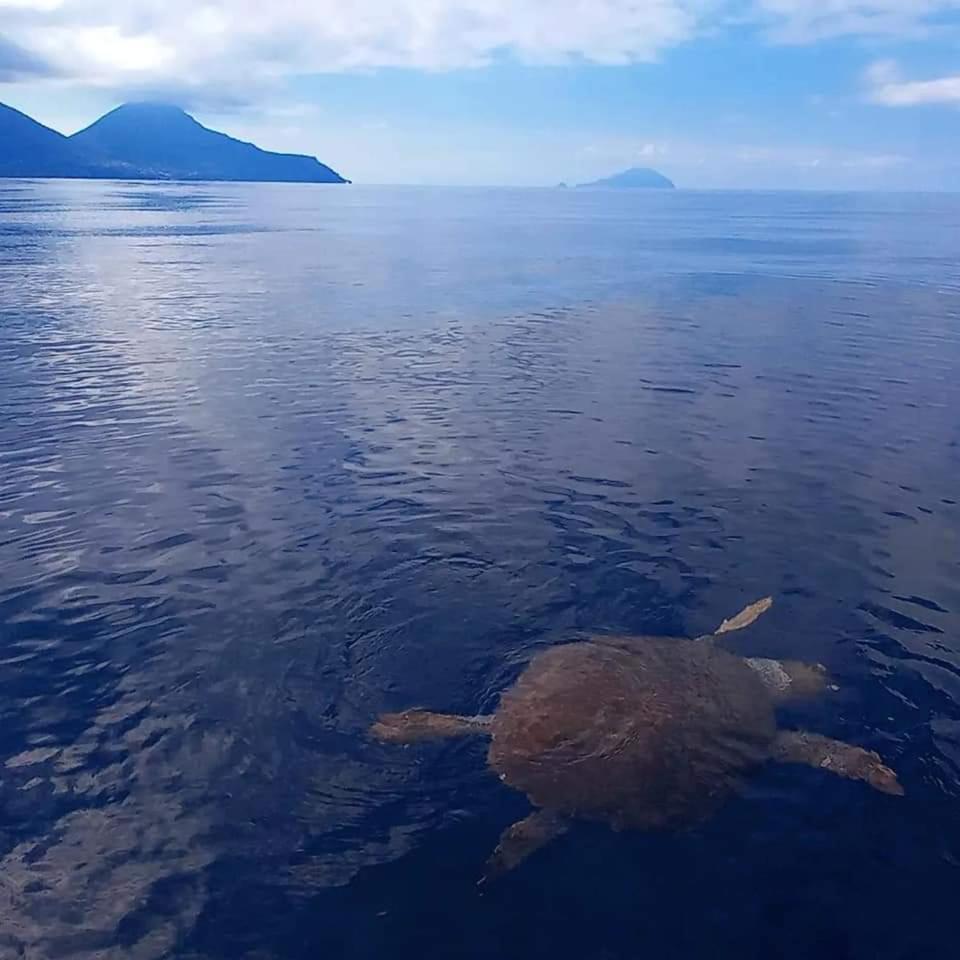 "Appartamento Del Mare Gliaca" Con Vista Isole Eolie,Ampia Terrazza,Wifi E Parcheggio Privato Gratuito Piraino Exterior photo